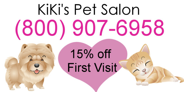 Pet Salon Magnets