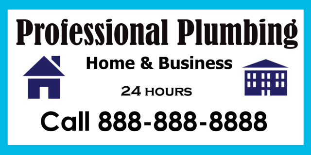 Professional Plumbing