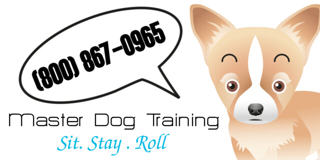 Dog Training Magnets
